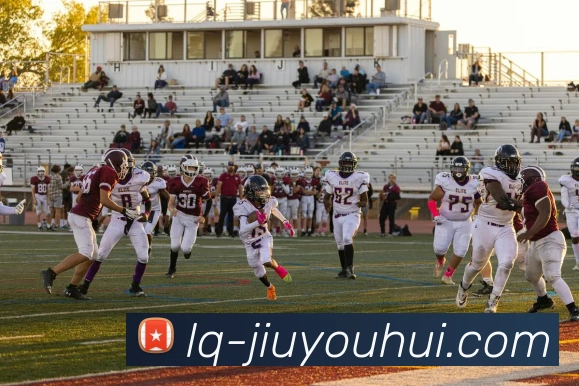 九游会官网官网发展历程